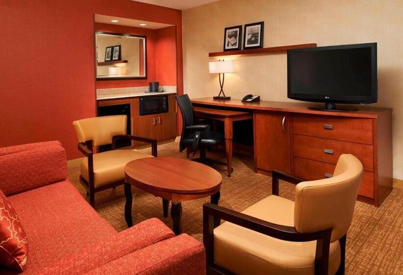Suite Łóżko King Size, Courtyard Chicago Arlington Heights/south