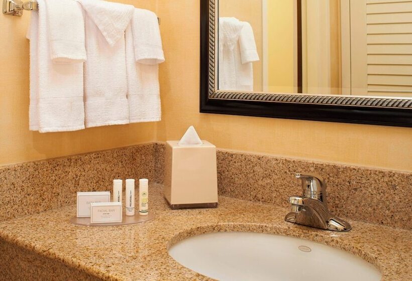 Suite, Courtyard Chicago Arlington Heights/south