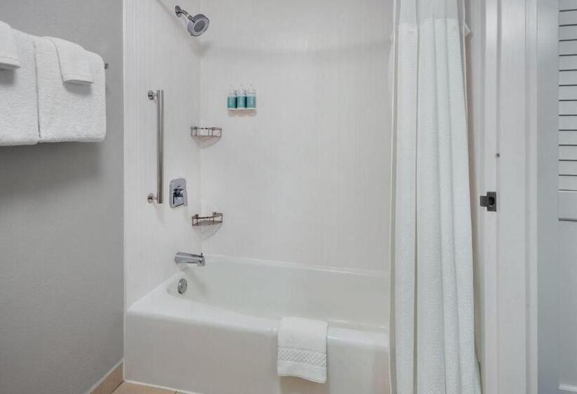 스탠다드 룸 킹사이즈 침대, Courtyard By Marriott New Carrollton Landover