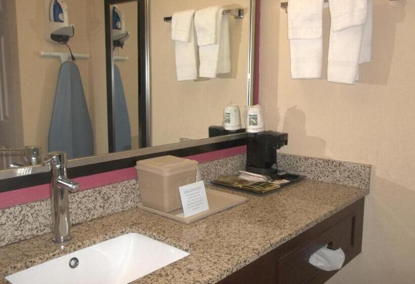 디럭스 룸, Days Inn By Wyndham Fort Lauderdale Airport Cruise Port