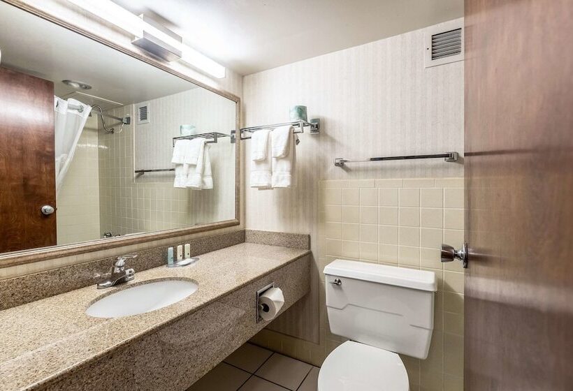 Номер Стандарт 2 Двуспальные Кровати, Econo Lodge