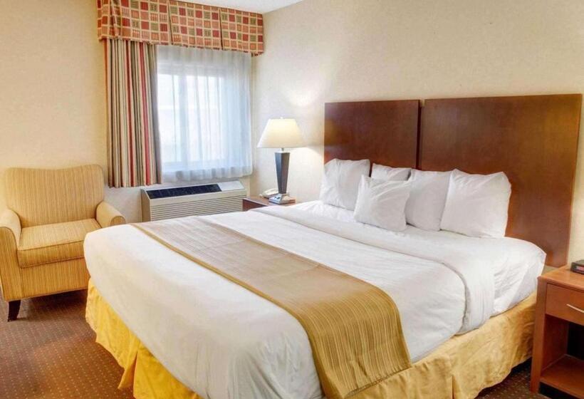스탠다드 룸 킹사이즈 침대, Quality Inn Jessup   Columbia South Near Fort Meade