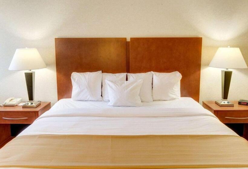 스탠다드 룸 킹사이즈 침대, Quality Inn Jessup   Columbia South Near Fort Meade