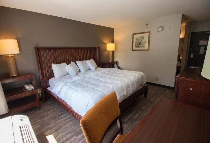 Стандартный Номер Кровать Кинг, Baymont Inn And Suites By Wyndham Columbus / Near Osu