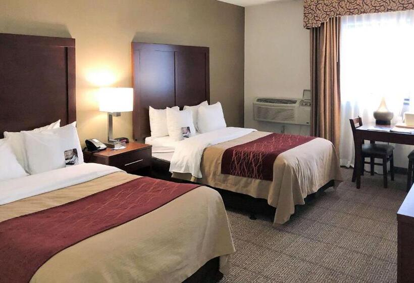 Номер Стандарт 2 Двуспальные Кровати, Comfort Inn
