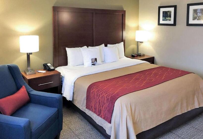 Стандартный Номер Кровать Кинг, Comfort Inn