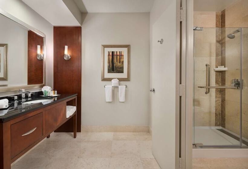 Suite, Hilton Houston Post Oak By The Galleria