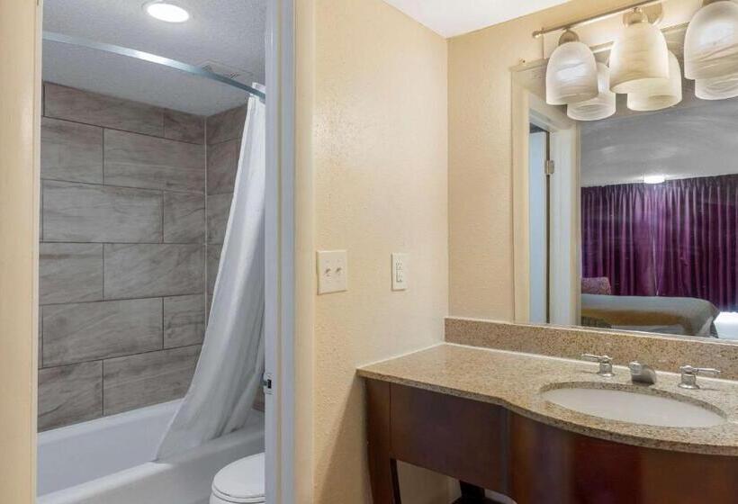 스탠다드 룸 킹사이즈 침대, Rodeway Inn Colonial Heights I95