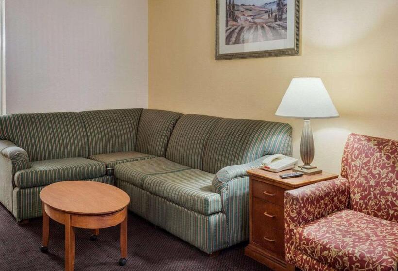 장애인을 위한 퀸사이즈 스탠다드 룸, Rodeway Inn Colonial Heights I95