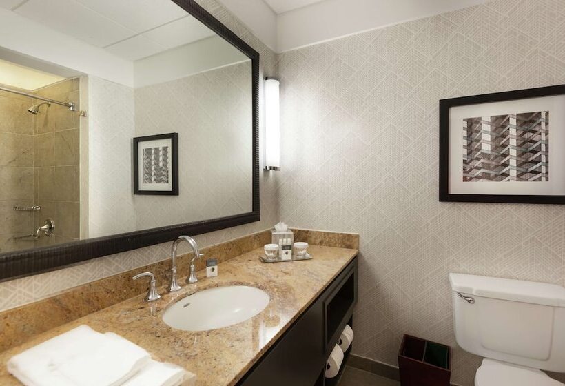 Номер Стандарт Двуспальная Кровать, Doubletree By Hilton Hotel & Suites Houston By The Galleria