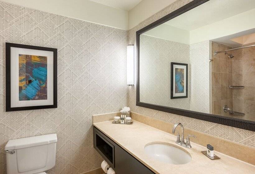 Номер Стандарт Адаптированный для Инвалидов, Doubletree By Hilton Hotel & Suites Houston By The Galleria