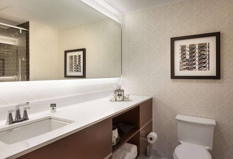 Номер Стандарт Двуспальная Кровать, Doubletree By Hilton Hotel & Suites Houston By The Galleria