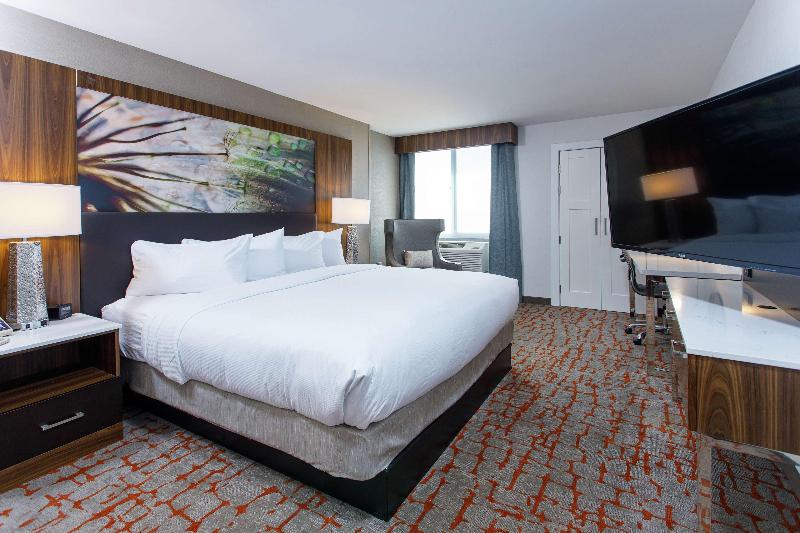 스탠다드 룸 킹사이즈 침대, Doubletree By Hilton Appleton