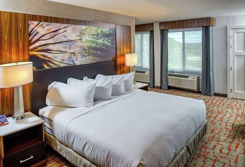 패밀리 스위트, Doubletree By Hilton Appleton