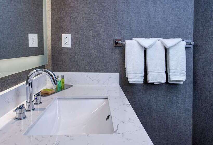 Suite Familiar, Doubletree By Hilton Appleton