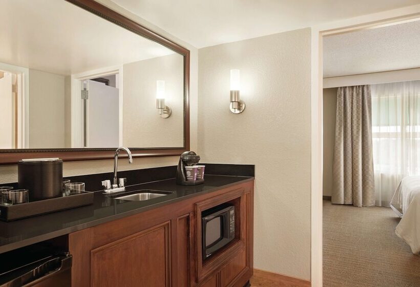 סוויטה, Embassy Suites By Hilton Brunswick