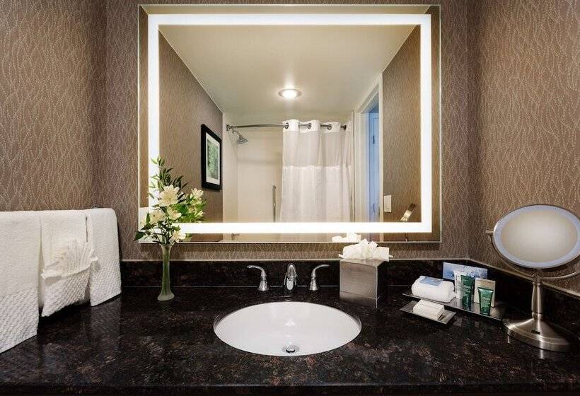 Номер Deluxe, Hilton Cincinnati Airport