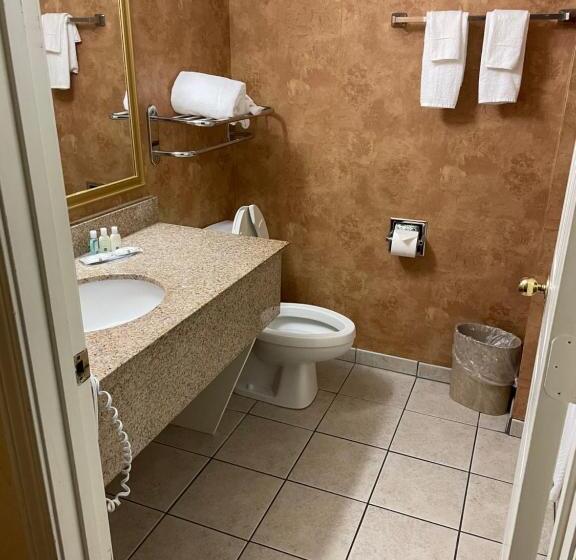 스탠다드 룸 킹사이즈 침대, Quality Inn & Suites