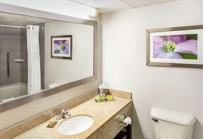 스위트, Doubletree By Hilton Richmond Midlothian