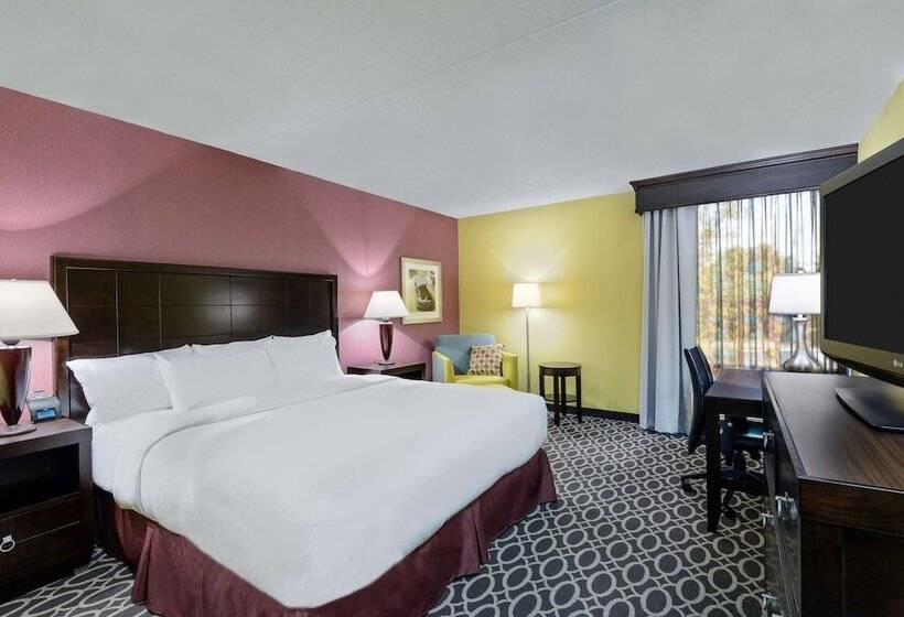스위트, Doubletree By Hilton Richmond Midlothian