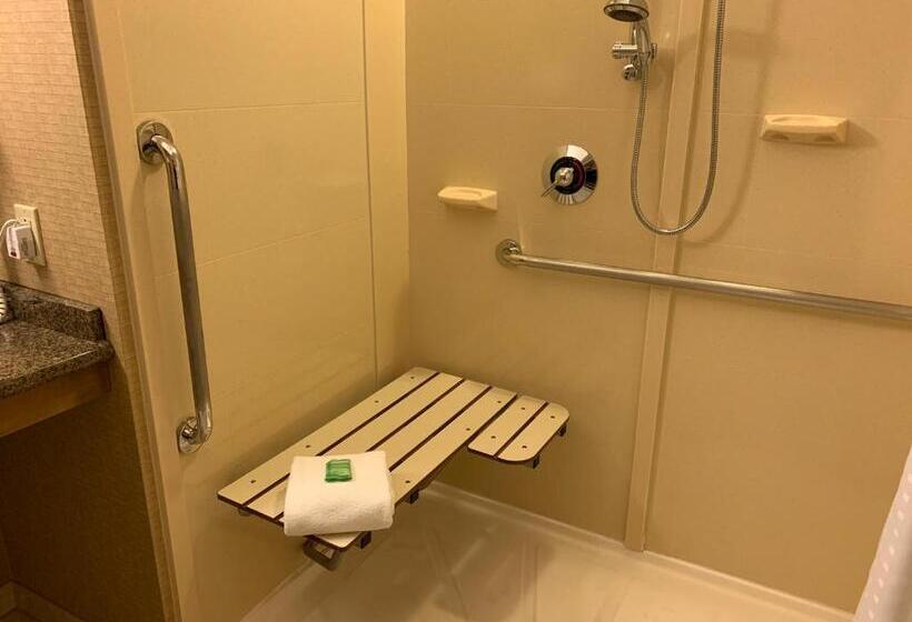 身障者適用キングサイズベッドルーム, Holiday Inn Johnstown Downtown, An Ihg