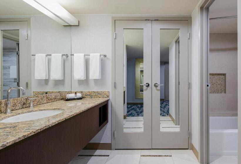 이그제큐티브 스위트, Hyatt Regency Dfw International Airport