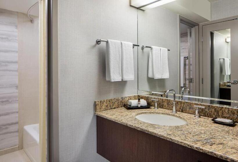스탠다드 룸, Hyatt Regency Dfw International Airport