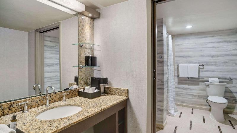 스탠다드 룸 킹사이즈 침대, Hyatt Regency Dfw International Airport
