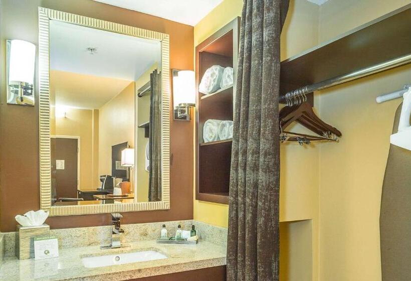 Quarto Estandar Cama King para Deficientes Físicos, Inn At The Peachtrees, Ascend Hotel Collection