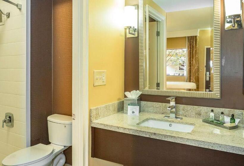 Quarto Estandar, Inn At The Peachtrees, Ascend Hotel Collection