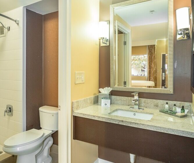 Quarto Estandar 2 Camas Casal, Inn At The Peachtrees, Ascend Hotel Collection