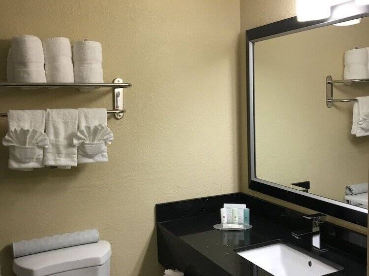 Номер Executive, Ramada Plaza By Wyndham Charlotte South End Airport