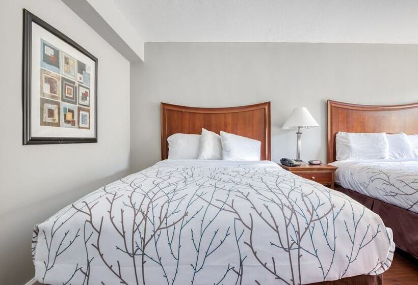 ２ダブルベッドのスタンダードルーム, Oyo Hotel Memphis Tn I-40