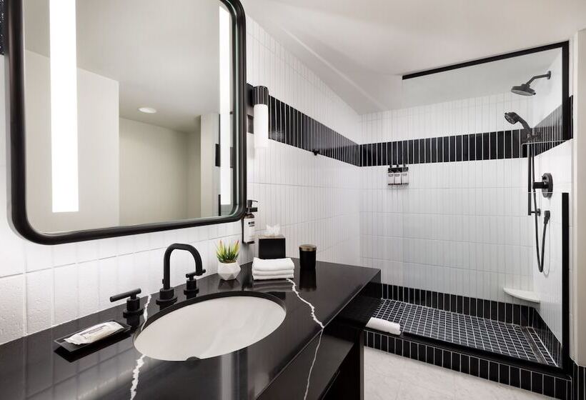 Люкс Премиум, Hyatt Regency San Francisco Downtown Soma