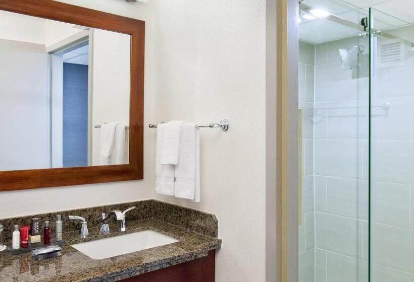스탠다드 룸 킹사이즈 침대, Marriott Park Ridge