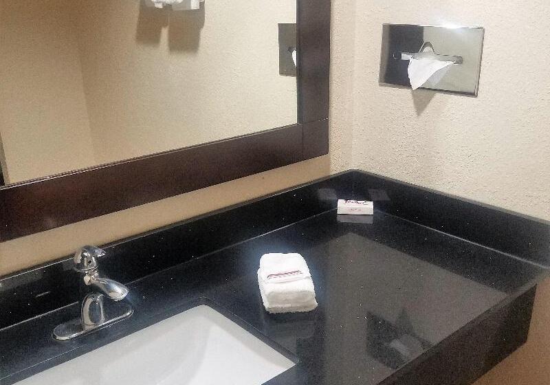 חדר סופריור, Red Roof Inn & Suites Houston  Hobby Airport