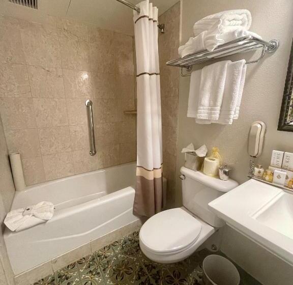 스탠다드 룸, The Mission Inn Hotel And Spa