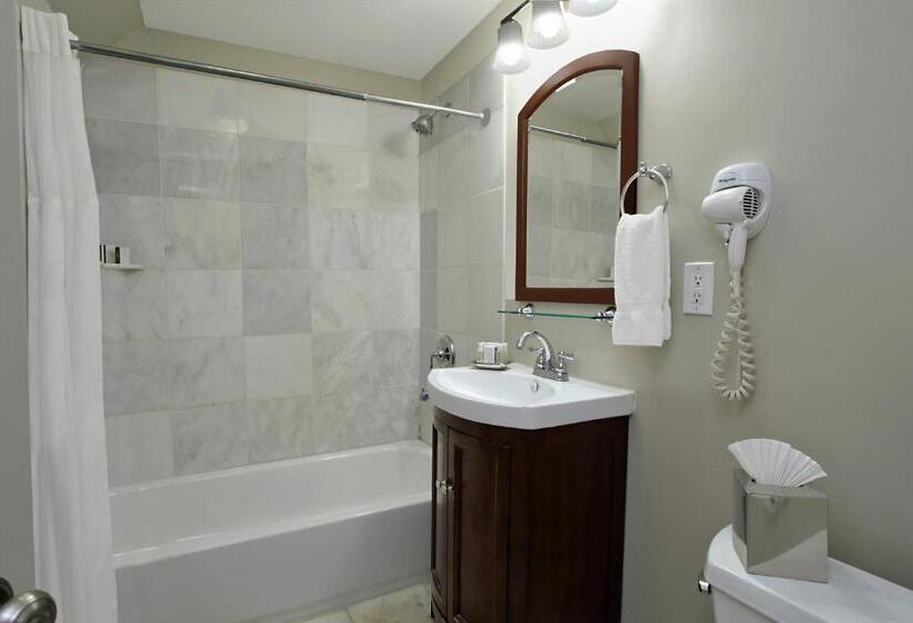 디럭스 룸, Lamothe House Hotel A French Quarter Guest Houses Property