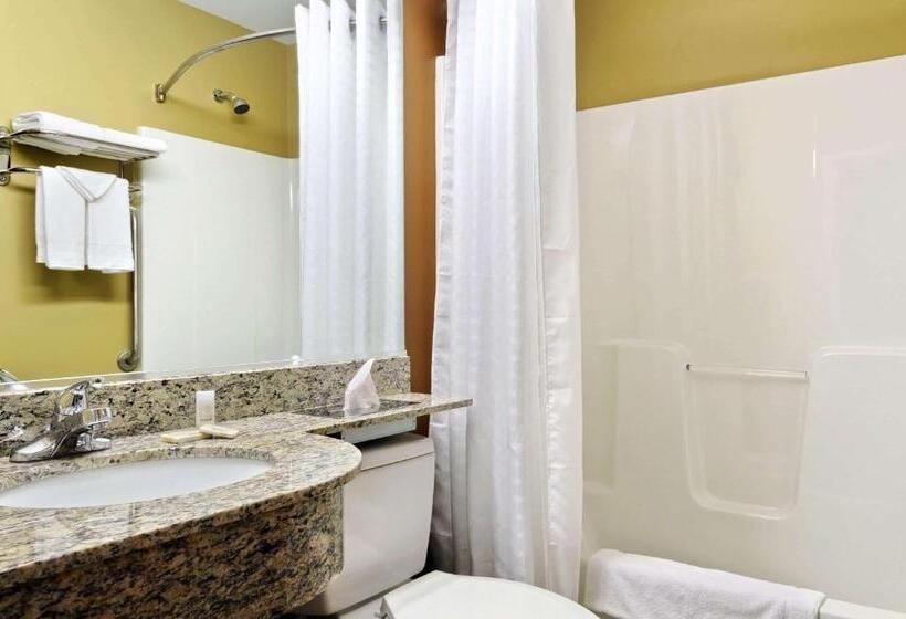 Номер Стандарт, Microtel Inn & Suites By Wyndham Marietta