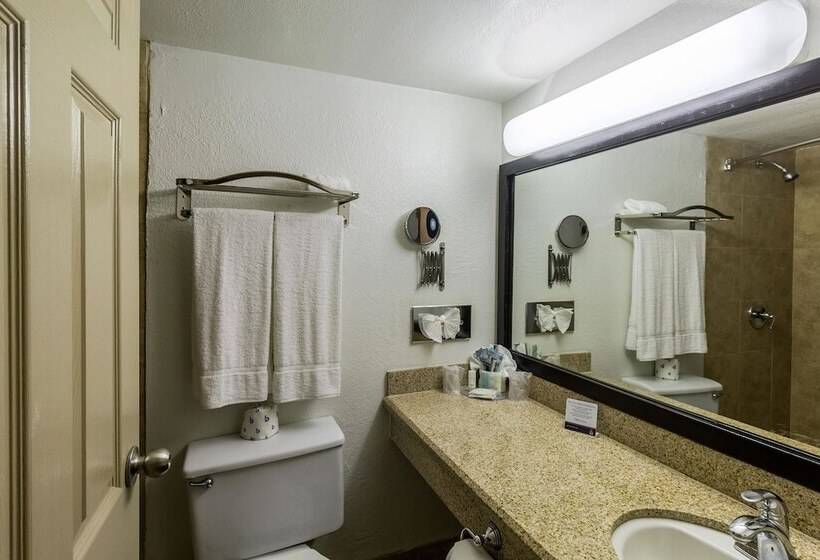 ２ダブルベッドのスタンダードルーム, Clarion Inn Near Mcallen Airport