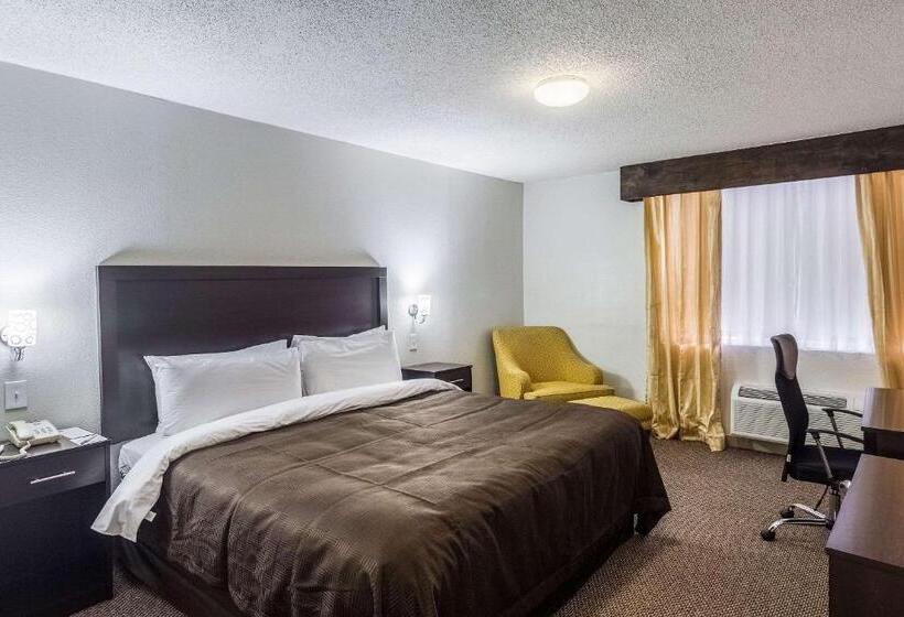 身障者適用キングサイズベッドルーム, Clarion Inn Near Mcallen Airport