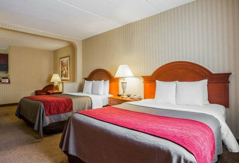 Номер Стандарт 2 Двуспальные Кровати, Comfort Inn & Suites