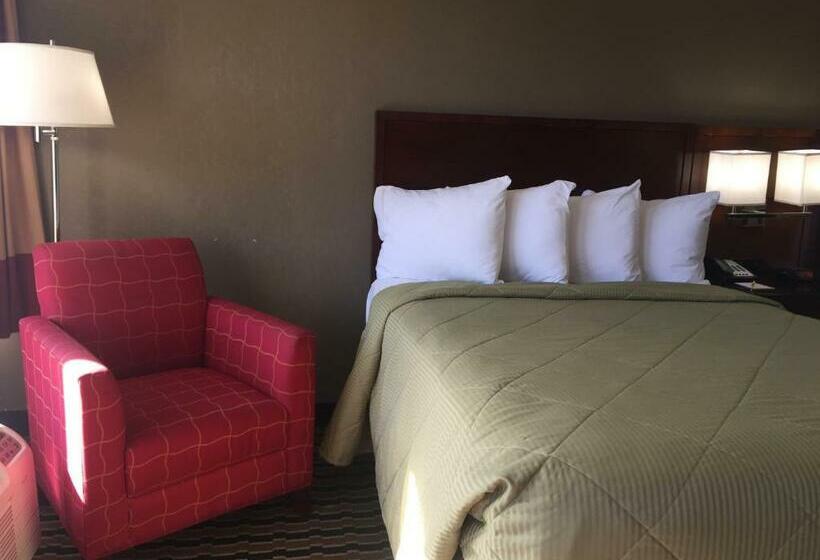 스탠다드 룸 킹사이즈 침대, Red Roof Inn Charlotte   Airport