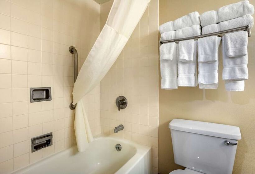 ２ダブルベッドのスタンダードルーム, Clarion Hotel Conference Center On Lake Erie