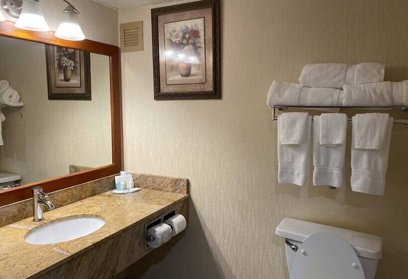 クイーンサイズベッドのスタンダードルーム, Clarion Hotel Conference Center On Lake Erie