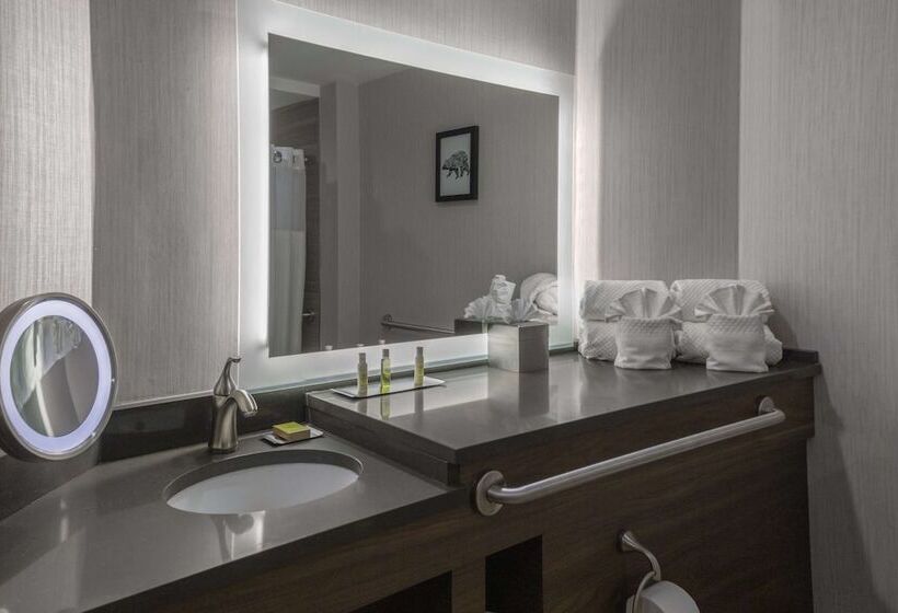 장애인용 디럭스룸, Doubletree By Hilton Burlington Vermont