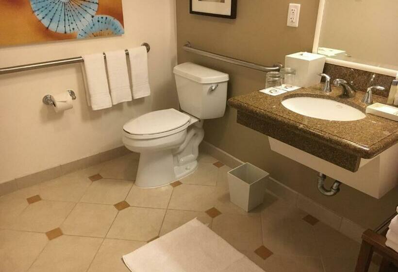חדר סטנדרט מותאם לאדם עם מוגבלויות, Naples Grande Beach Resort
