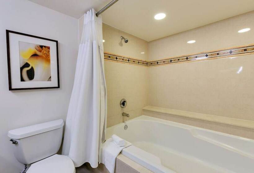 전망 스위트, Naples Grande Beach Resort