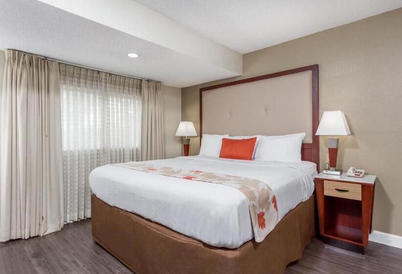 Апартаменты Пентхаус 2 Спальни, Hawthorn Suites By Wyndham North Charleston