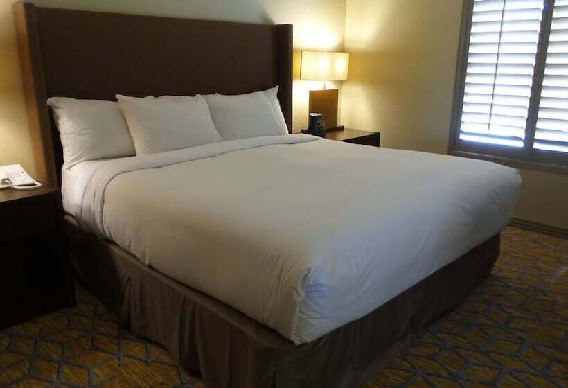 Люкс, El Conquistador Tucson, A Hilton Resort